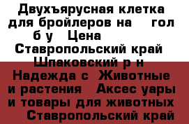 Двухъярусная клетка для бройлеров на 24 гол б/у › Цена ­ 9 000 - Ставропольский край, Шпаковский р-н, Надежда с. Животные и растения » Аксесcуары и товары для животных   . Ставропольский край